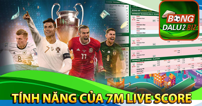 Một số dịch vụ nổi bật của 7M Live Score