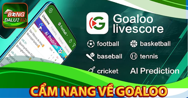 Cẩm nang về Goaloo 18 